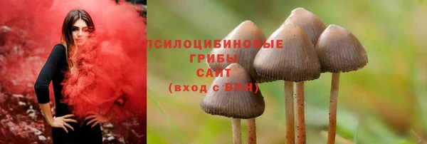 MDMA Premium VHQ Шадринск