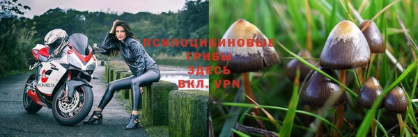 MDMA Premium VHQ Шадринск
