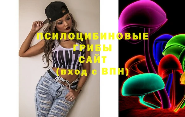 крисы Шали