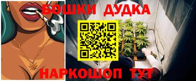 Альфа ПВП Аргун