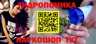 Альфа ПВП Аргун