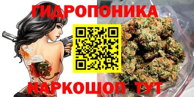 прущие грибы Апрелевка