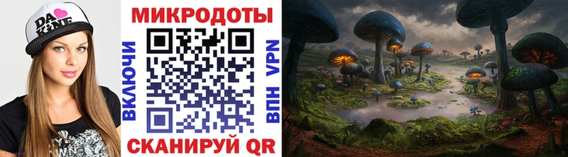 купить наркоту  МЕГА маркетплейс  Галлюциногенные грибы Psilocybine cubensis  Белогорск 