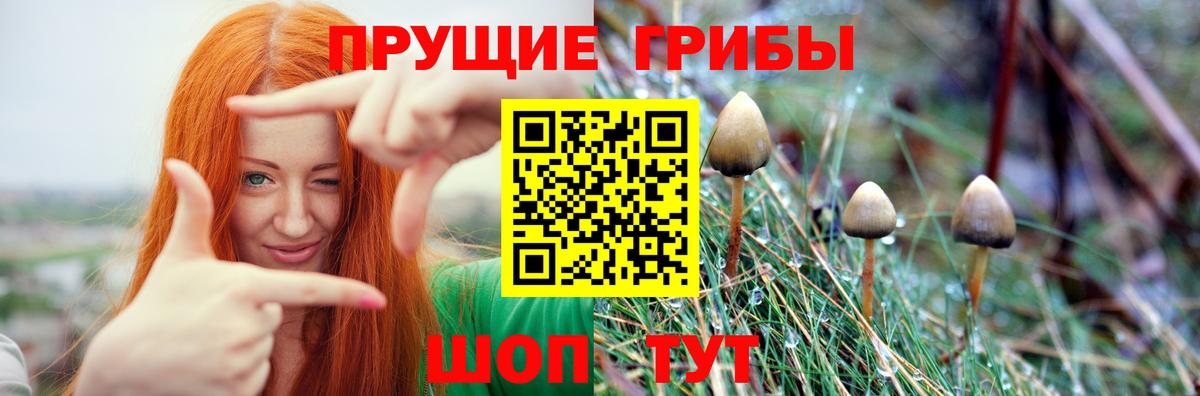 Галлюциногенные грибы MAGIC MUSHROOMS  Вход с VPN  что такое наркотик  Белогорск 